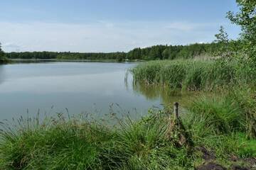 Фотографии Лоджи Domek - Księżyc Pod Sosnami г. Chotcza Dolna (Польша) №4 Фото Лоджи Domek - Księżyc Pod Sosnami г. Chotcza Dolna 4